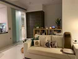 The Scotts Tower (D9), Condominium #202376242
